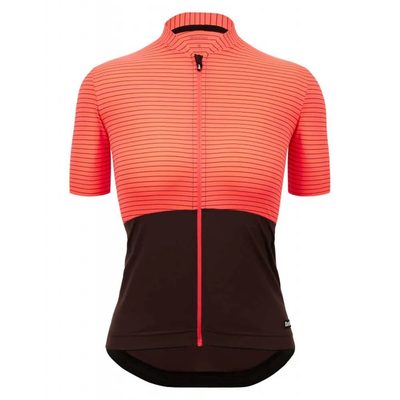 SANTINI Colore Riga Short Sl 車衣 正品歐洲代購 [138998700]