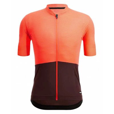 SANTINI Colore Riga Short Sl 車衣 透氣 輕薄 正品歐洲代購 [138998703]