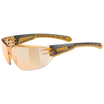 UVEX Equate 太陽眼鏡 防護 舒適