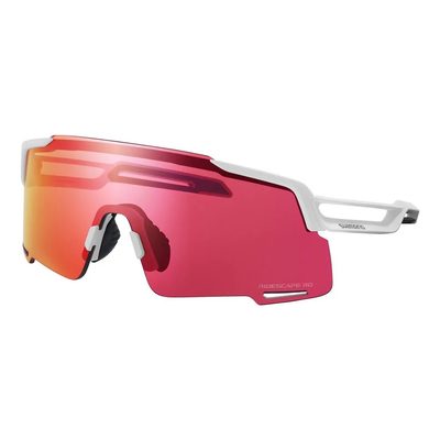 SHIMANO Equinox Rd 太陽眼鏡 輕量 防滑