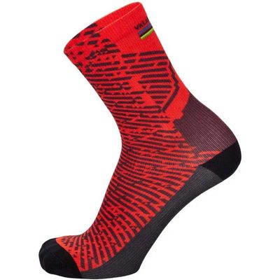 SANTINI Uci Mtb World Champi 車襪 透氣 輕量 正品歐洲代購 [142115423]