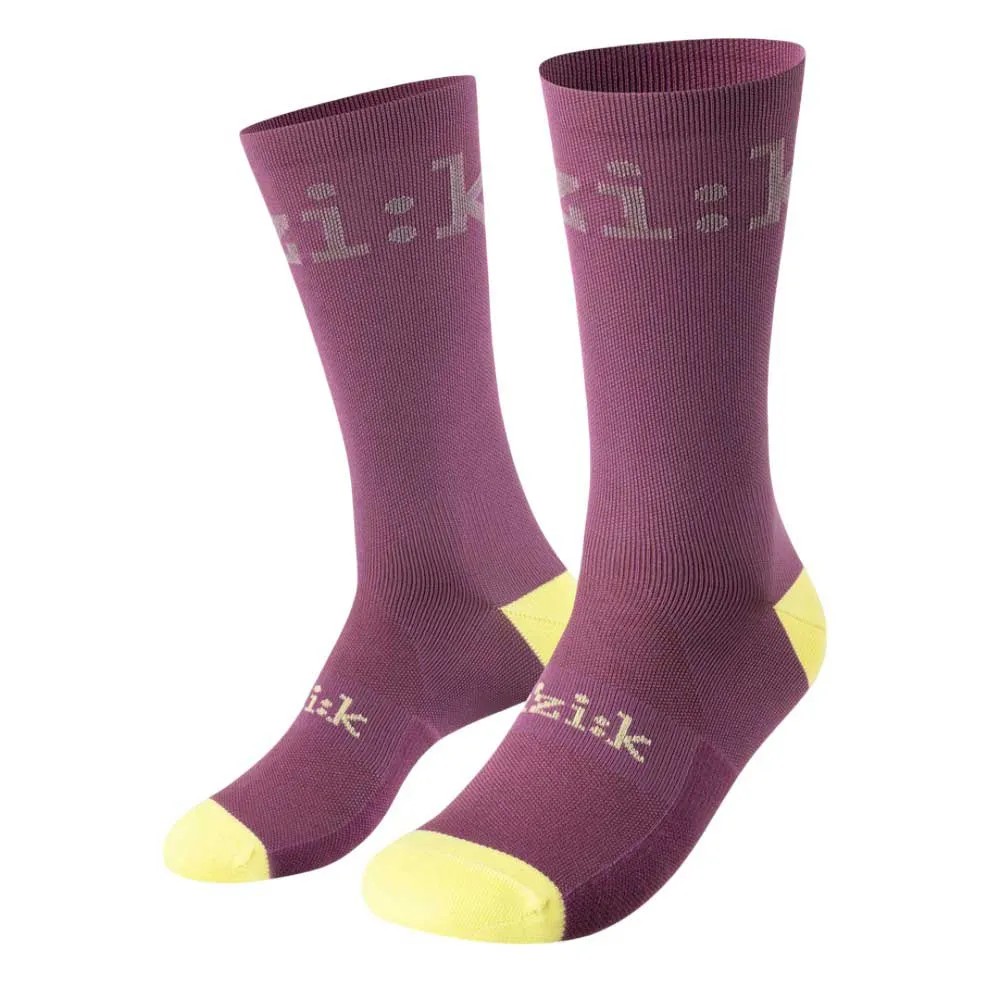 FIZIK Team Edition 車襪 透氣 舒適