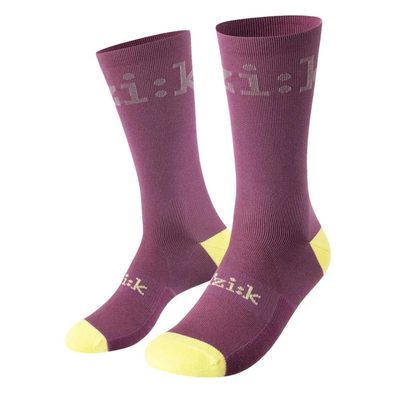 FIZIK Team Edition 車襪 透氣 舒適